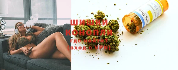 стафф Михайлов