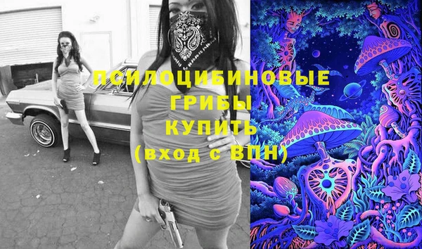 винт Каменногорск