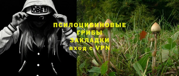 МДПВ Абаза