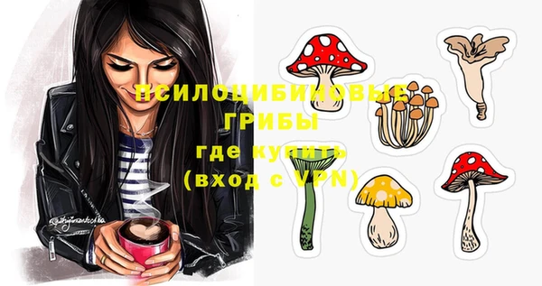 стафф Михайлов