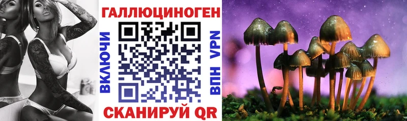 Псилоцибиновые грибы прущие грибы Воронеж