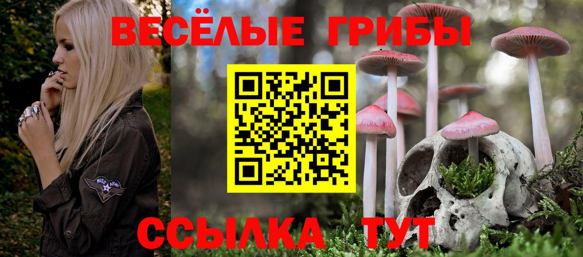 Псилоцибиновые грибы Psilocybine cubensis Воронеж