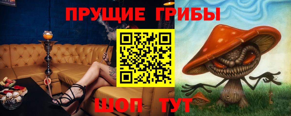 Воронеж  Галлюциногенные грибы Psilocybine cubensis  Вход с VPN 